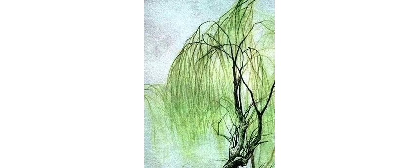 怜发