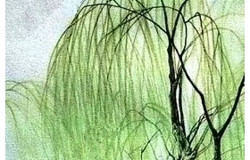 怜发