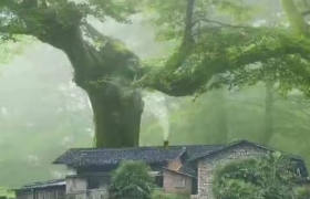 游玩