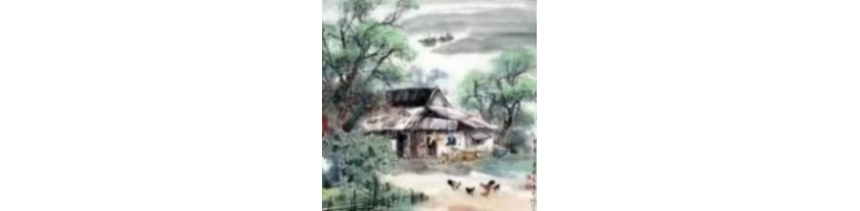 逢鸟