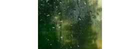 看雨窗