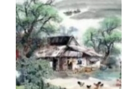 逢鸟