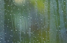 晨雨