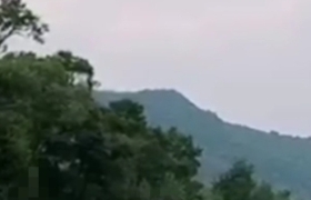 闲步