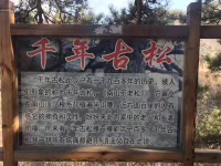 D04452ED-F6EB-48A5-A91B-0801F3F5A2F7.jpeg