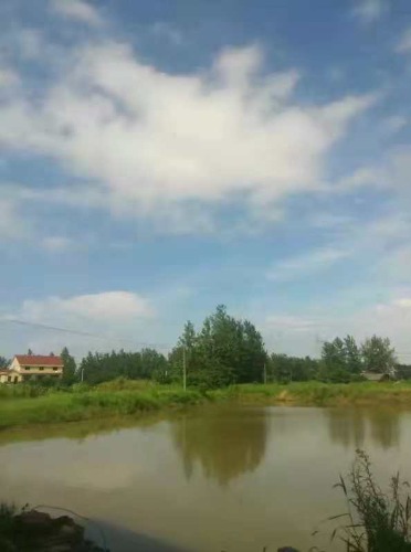 mmexport1544354950656.jpg