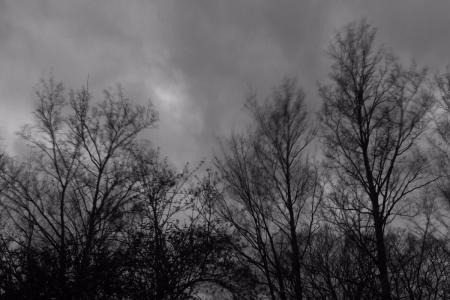 1G122152532Y4.jpg