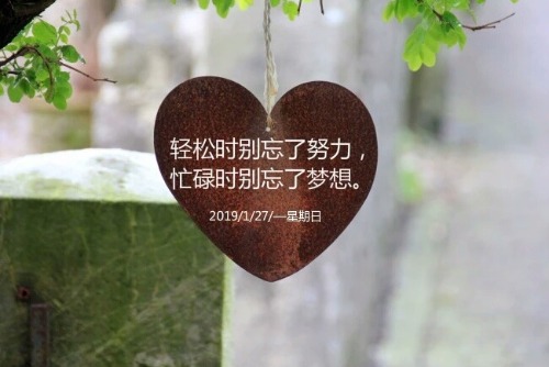 mmexport1548596774328.jpg