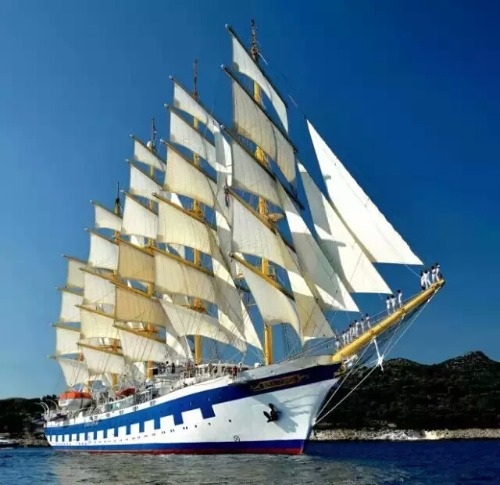 mmexport1549378737724.jpg