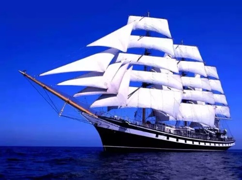 mmexport1549378733502.jpg