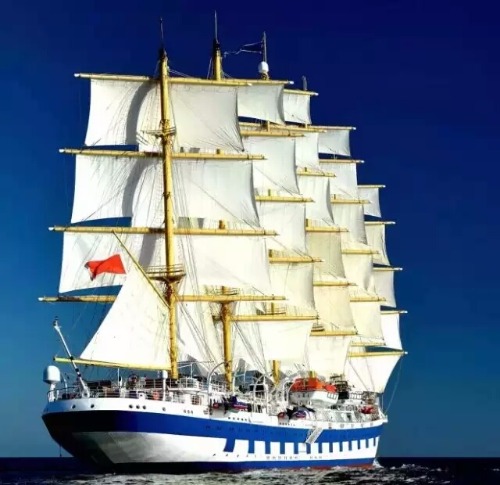 mmexport1549378724832.jpg