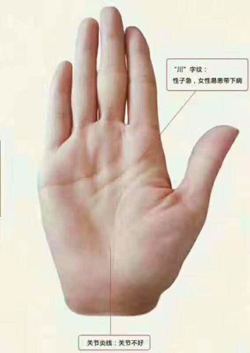 mmexport1550744107929.jpg