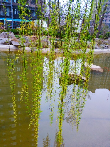 IMG_20190320_072731.jpg