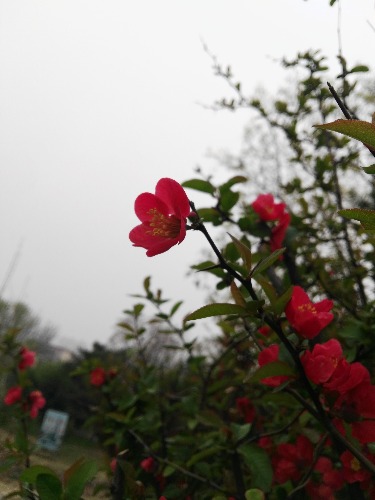 IMG_20190413_154635.jpg