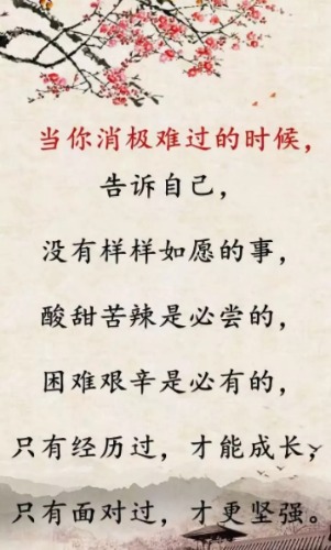mmexport1574602957675.jpg