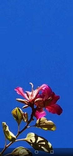 Screenshot_20191222_211333_com.tencent.mm.jpg