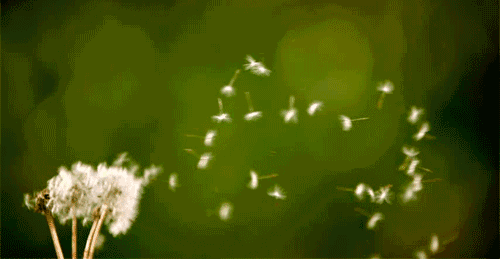 mmexport1578994949408.gif