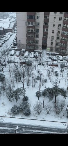 Screenshot_20200214_184726_com.huawei.himovie.jpg