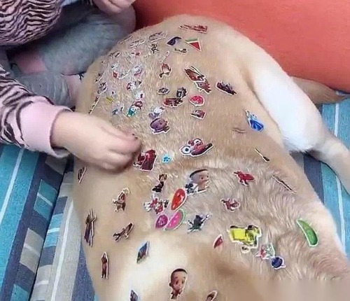1582420895187.jpg