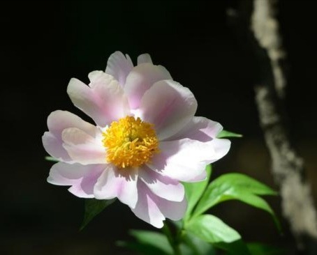 IMG_20200224_071352.jpg