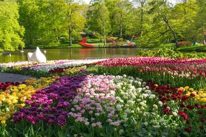 u=4164600526,445291484&amp;fm=193&amp;app=53&amp;size=w414&amp;n=0&amp;g=0n&amp;f=jpeg.jpg