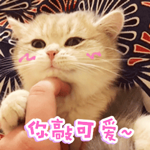 1590111626697.gif