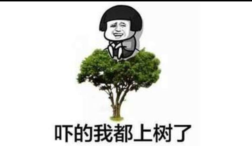 mmexport1592282892471.jpg