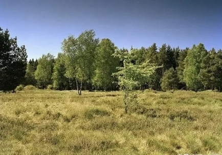 mmexport1595298637152.jpg