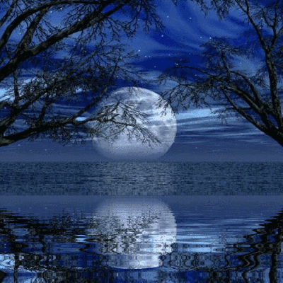 7dfbff11dea043100d3d411747e0bb60~480x480.gif
