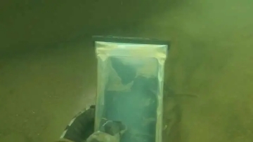 mmexport1598582466786.jpg