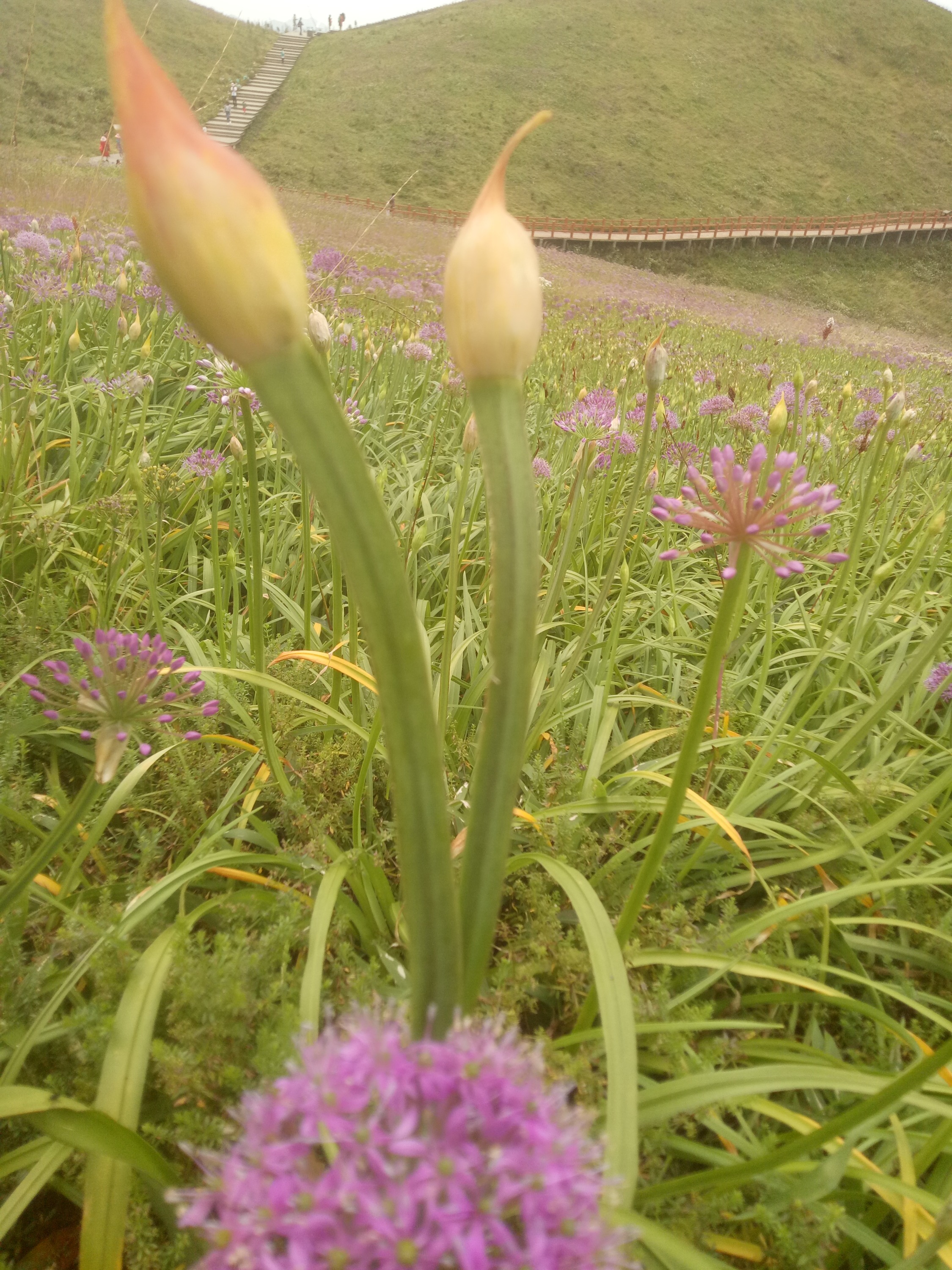 IMG20200828141916.jpg