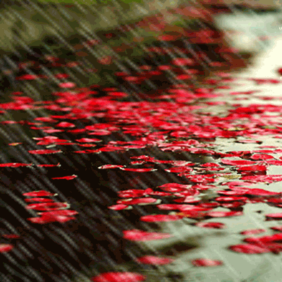 106700030cf38898a966~640x640.gif