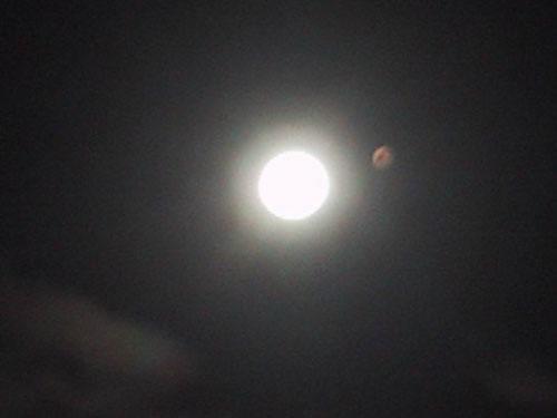2097f0cad4d7b1379dbe4674c68a2305~640x640.jpg