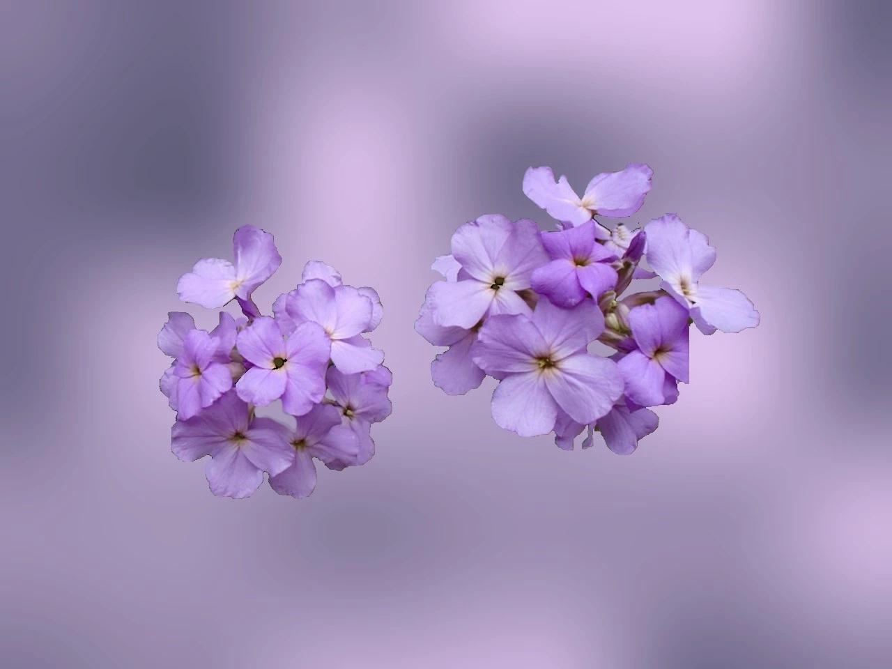mmexport1601905394703.jpg