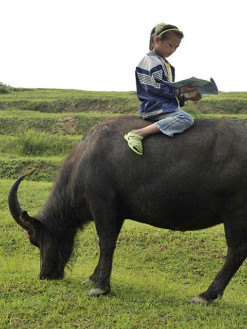 483000883371bced98b~640x640.jpg