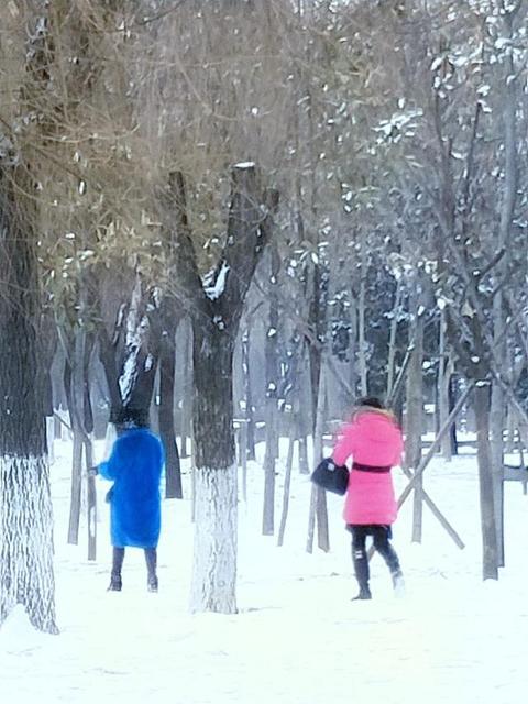 53b82c83291af7e86aefda955549ffeb~640x640.jpg