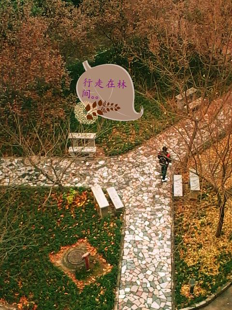 246a61c383833338b812676dd548abcd~640x640.jpg