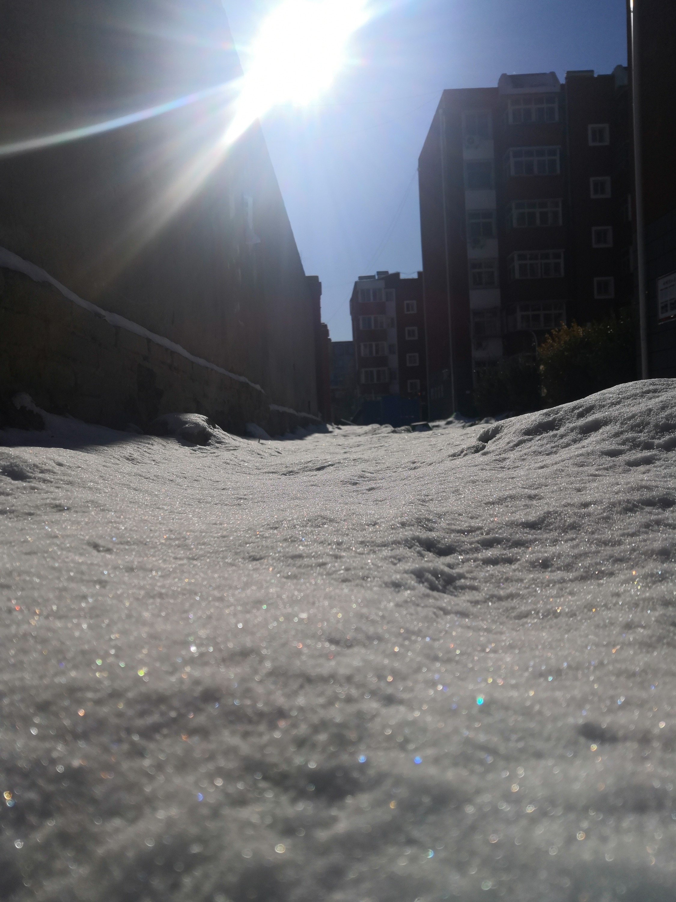 IMG_20201213_120027.jpg