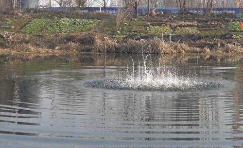 null-4820438d58f6c1bd.jpg