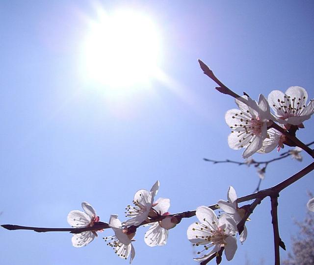 0a4ed9acb3bcfa0bb23ddad5b3eeb785~640x640.jpg