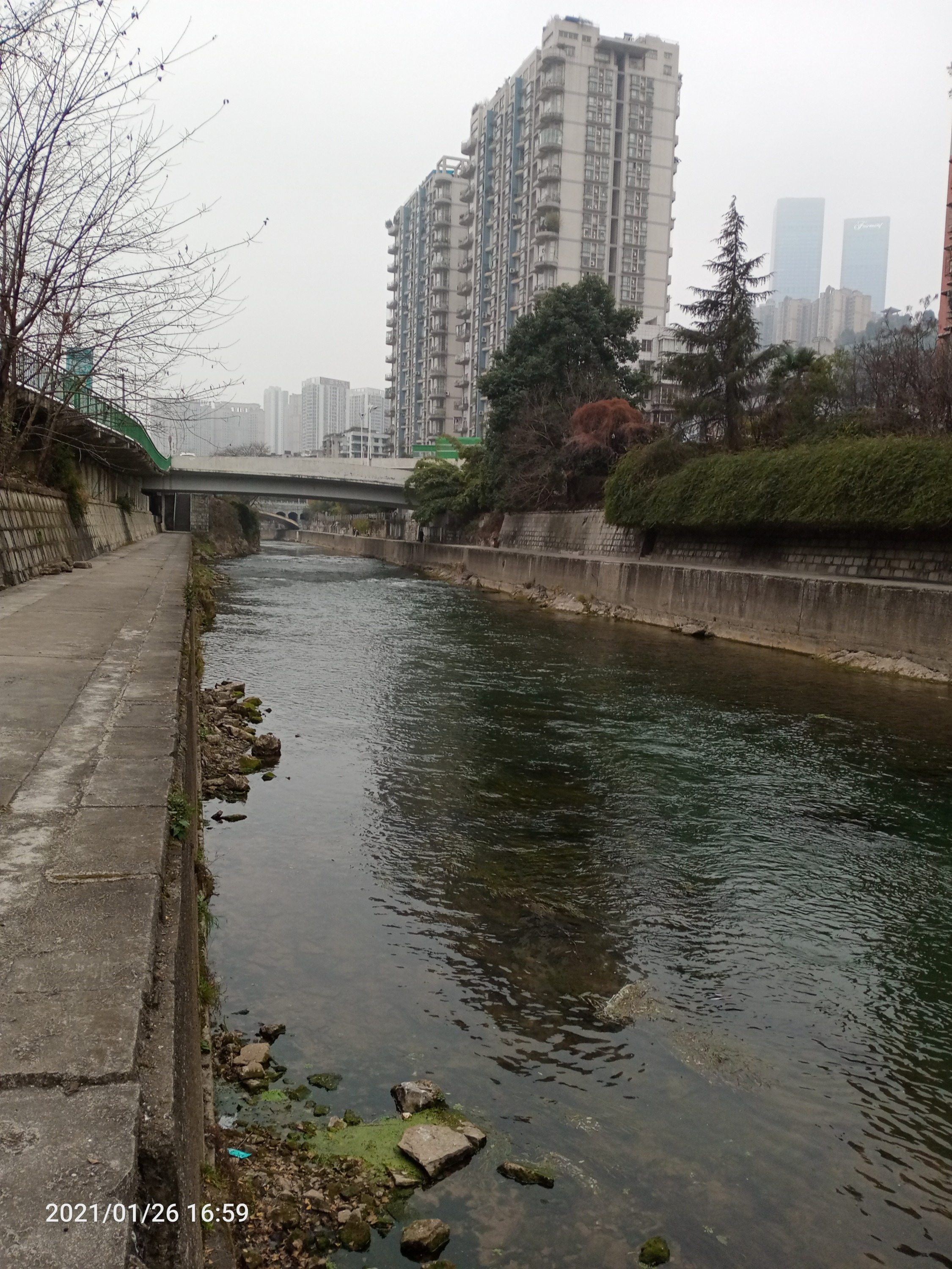 IMG20210126165952.jpg