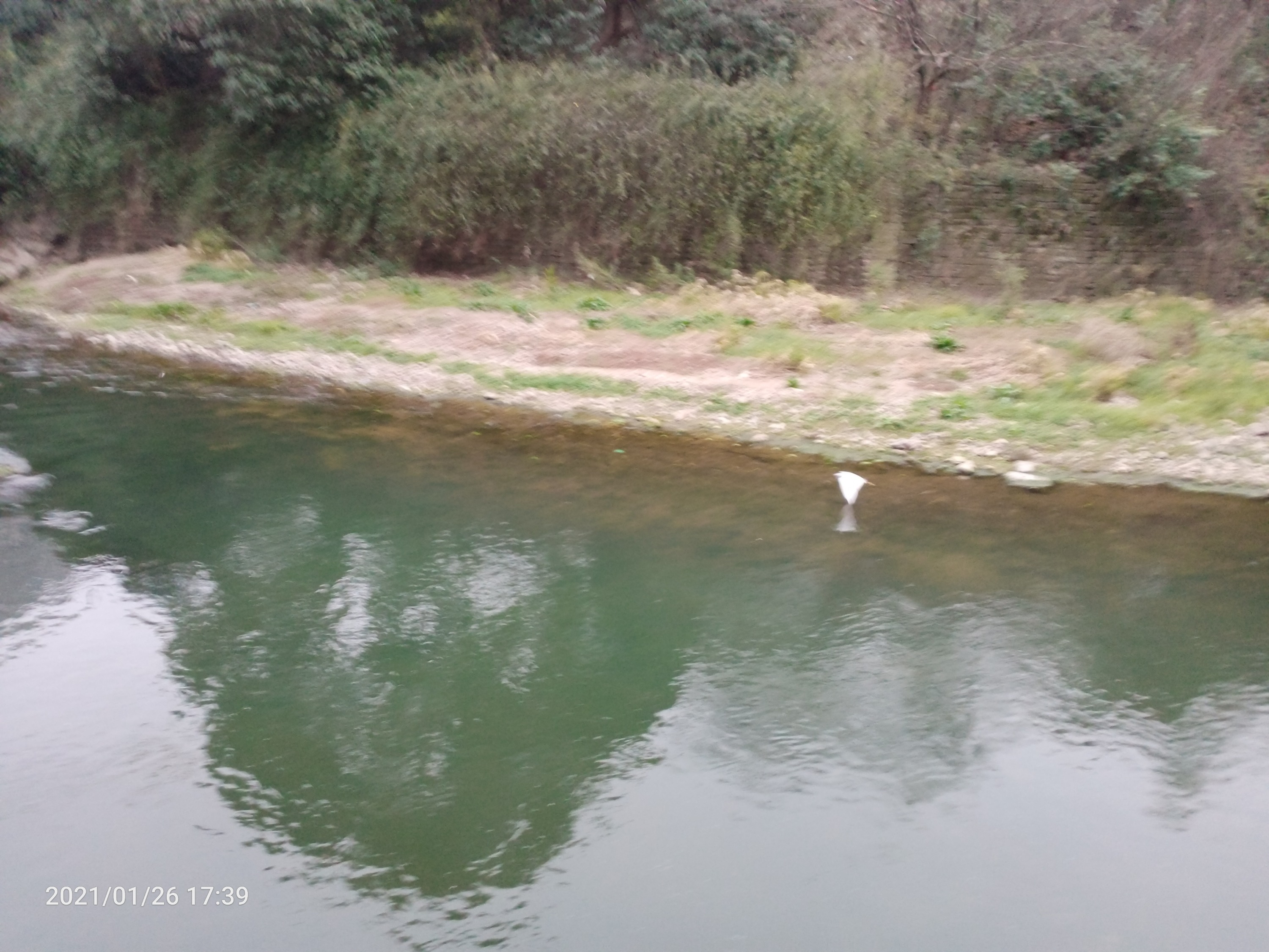 IMG20210126173933.jpg