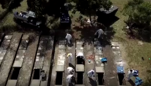 10334393070714613578.png