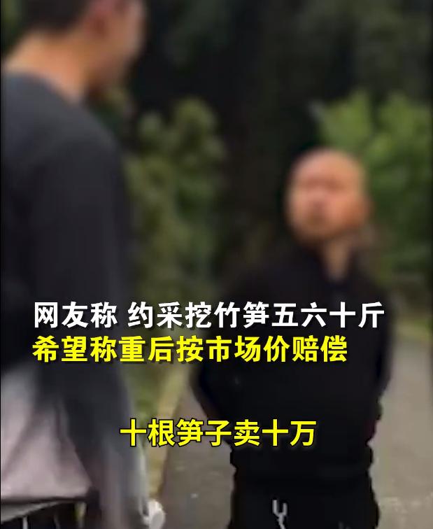 74a966ef84a77d2fad3233a6a5c865a9a9a6a4f8_w619_h756.jpg