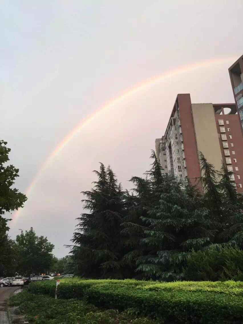 28937548554653b5aebeee474a704d48.jpg