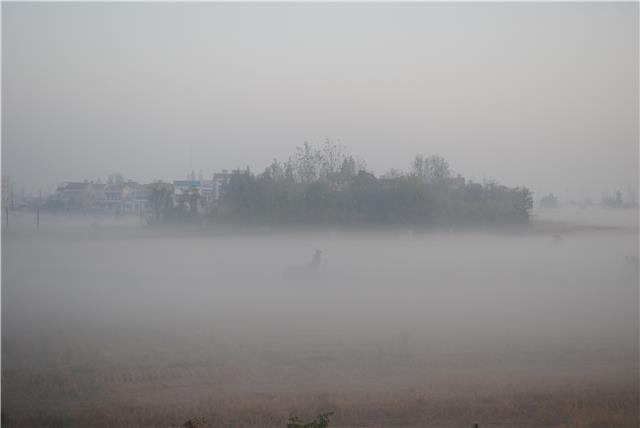 18-220112154022Y0.jpg
