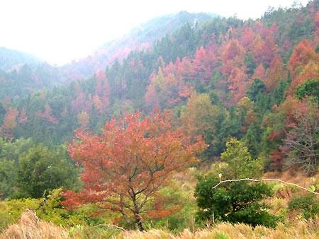u=2392854182,2795767177&amp;fm=253&amp;app=138&amp;f=JPEG.jpg
