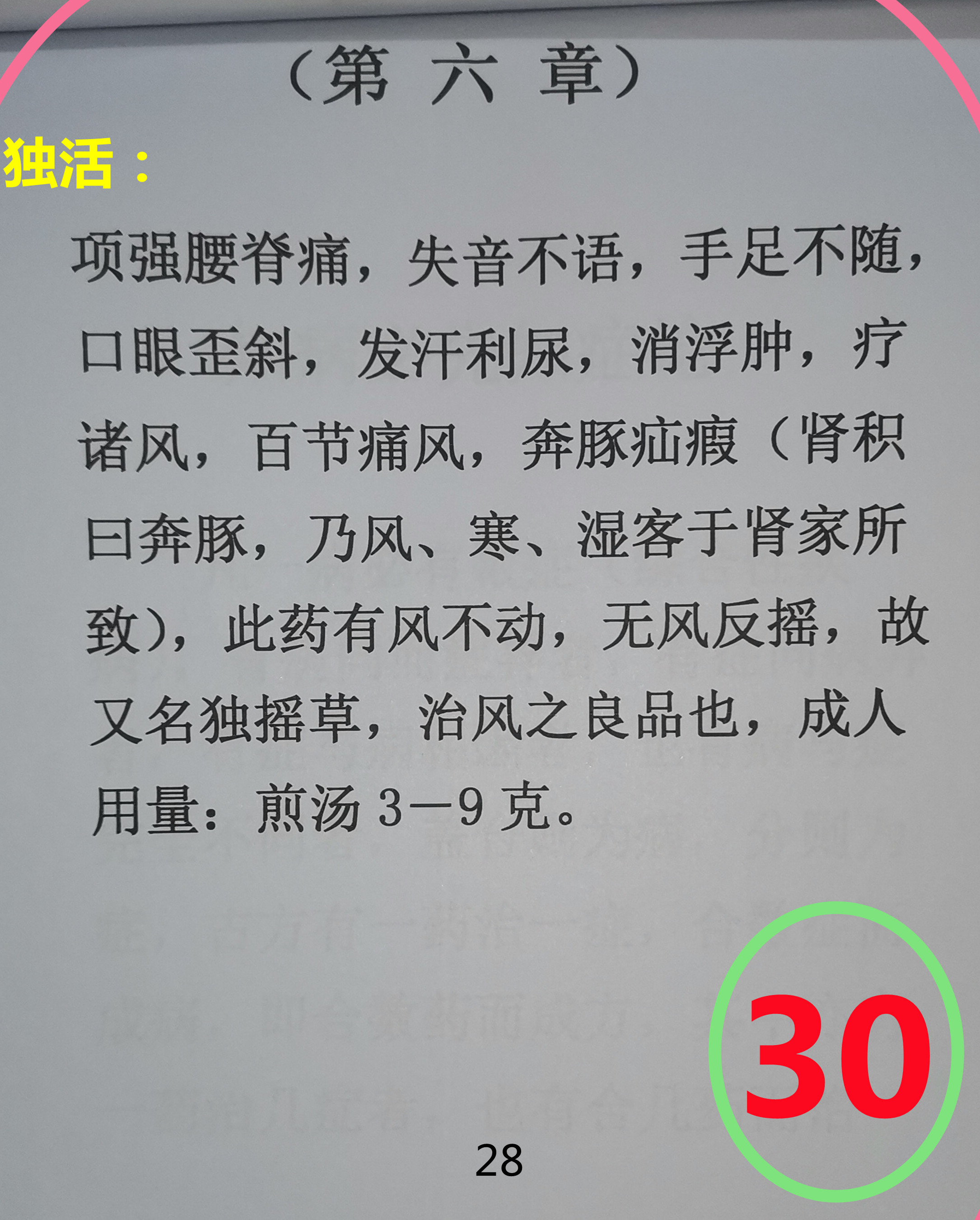 图     30.jpg