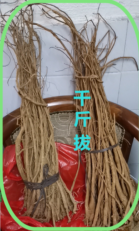 千 斤 拔.png