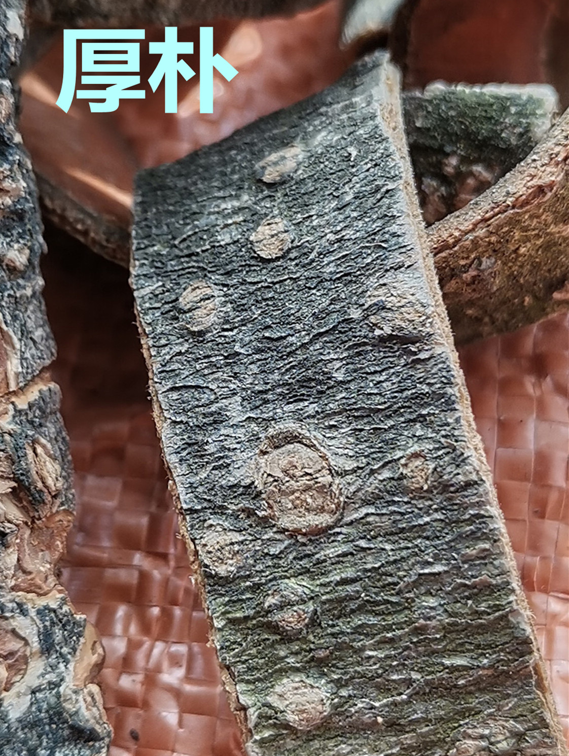 川  朴  66.jpg